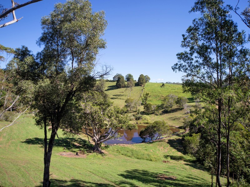 Black Mountain QLD 4563