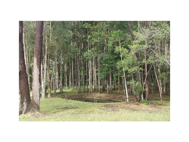 9 Crab Apple Court, Black Mountain QLD 4563