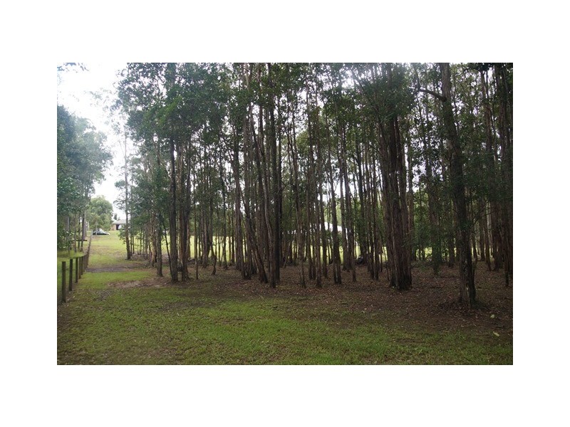 9 Crab Apple Court, Black Mountain QLD 4563