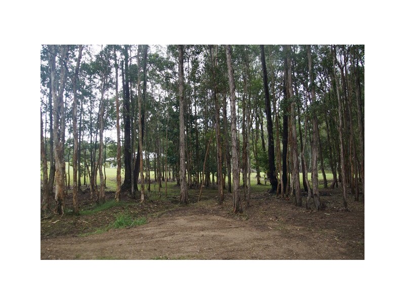 9 Crab Apple Court, Black Mountain QLD 4563