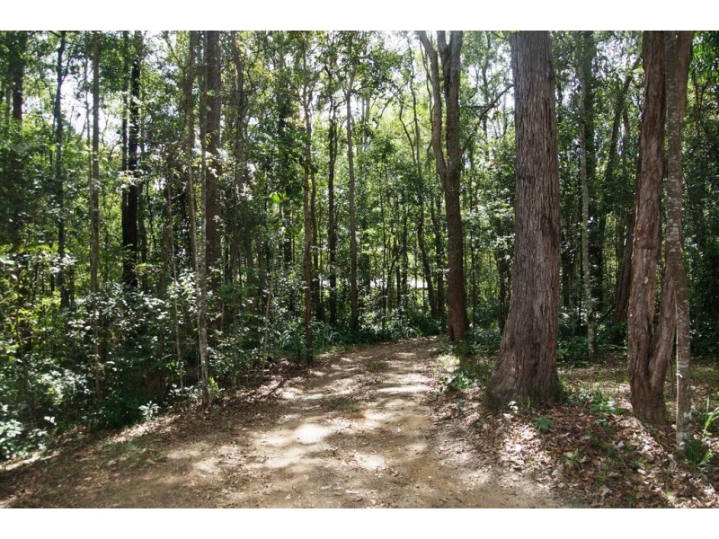 1383 Greenridge Pinbarren Road, Pinbarren QLD 4568