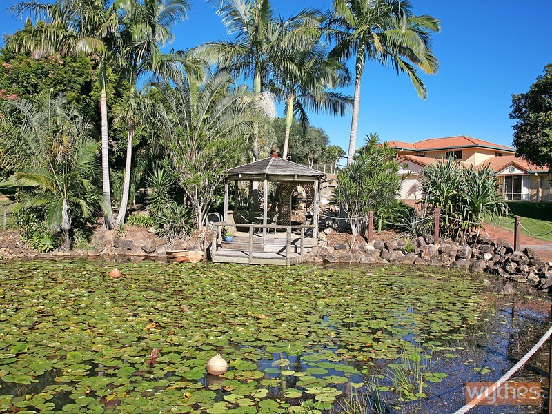 12 Southeden Court, Cooroy QLD 4563