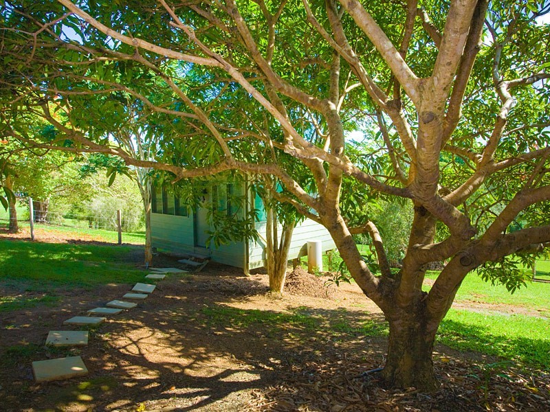 262 Cooroy Mountain Road, Cooroy Mountain QLD 4563