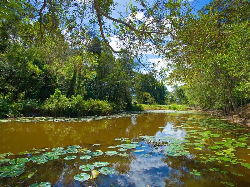 262 Cooroy Mountain Road, Cooroy Mountain QLD 4563