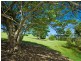 262 Cooroy Mountain Road, Cooroy Mountain QLD 4563