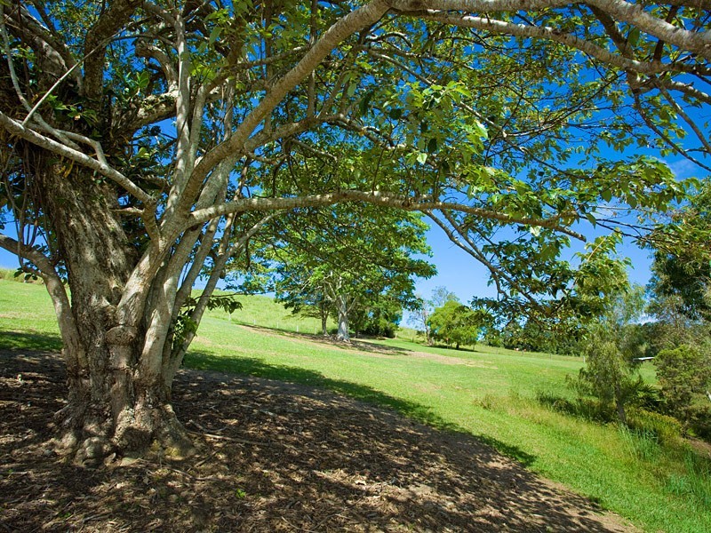 262 Cooroy Mountain Road, Cooroy Mountain QLD 4563