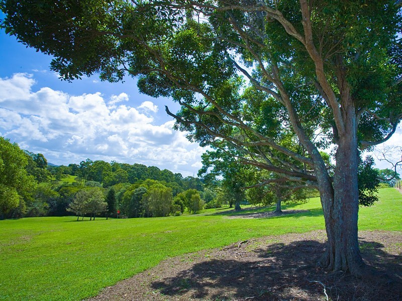 262 Cooroy Mountain Road, Cooroy Mountain QLD 4563