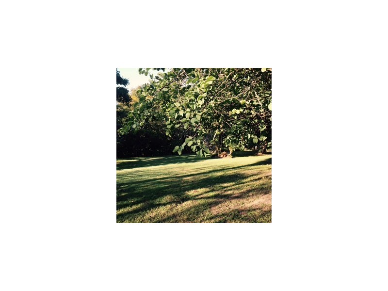 2 Pacific View Drive, Tinbeerwah QLD 4563