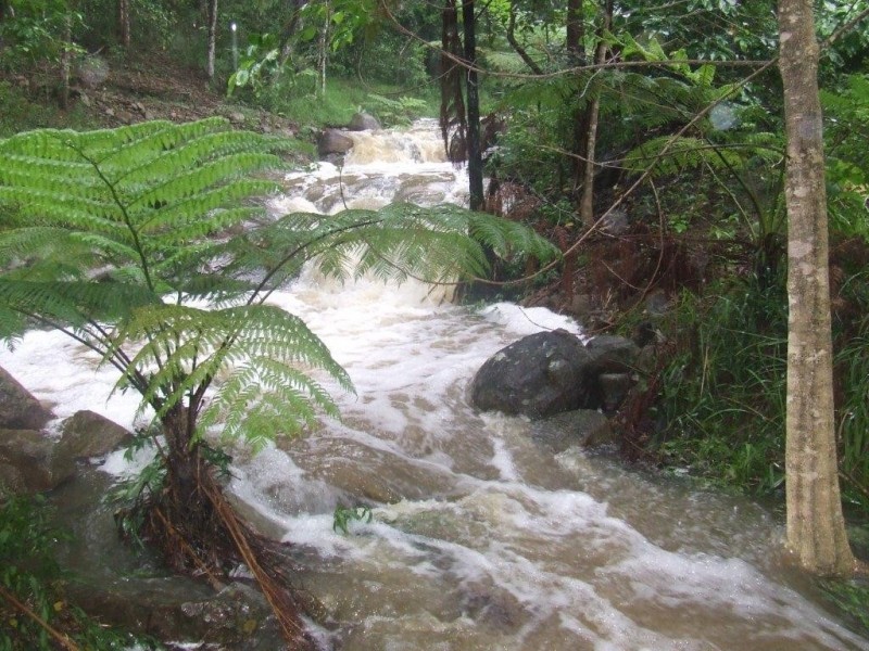 111 Lukes Road, Cooroy QLD 4563