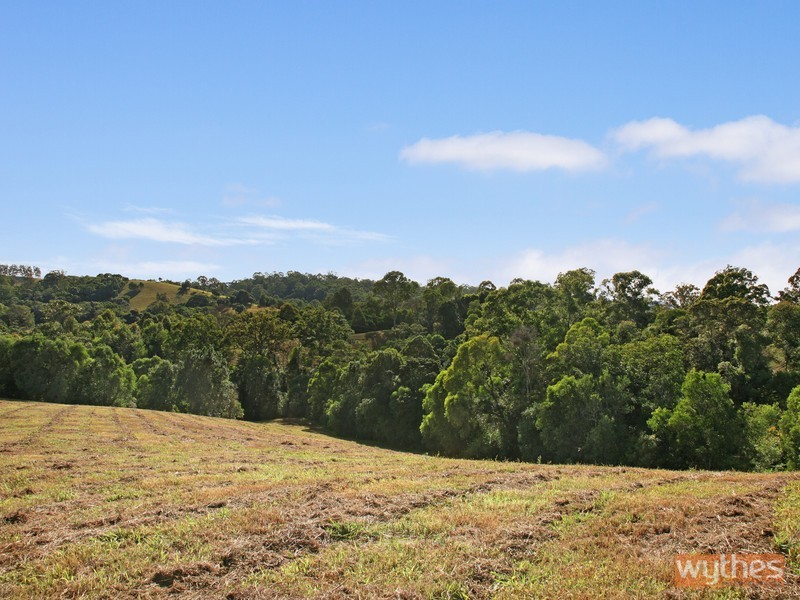 250 Lawnville Road, Black Mountain QLD 4563