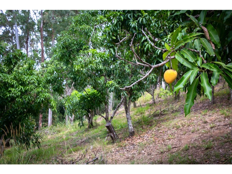 Eerwah Vale QLD 4562