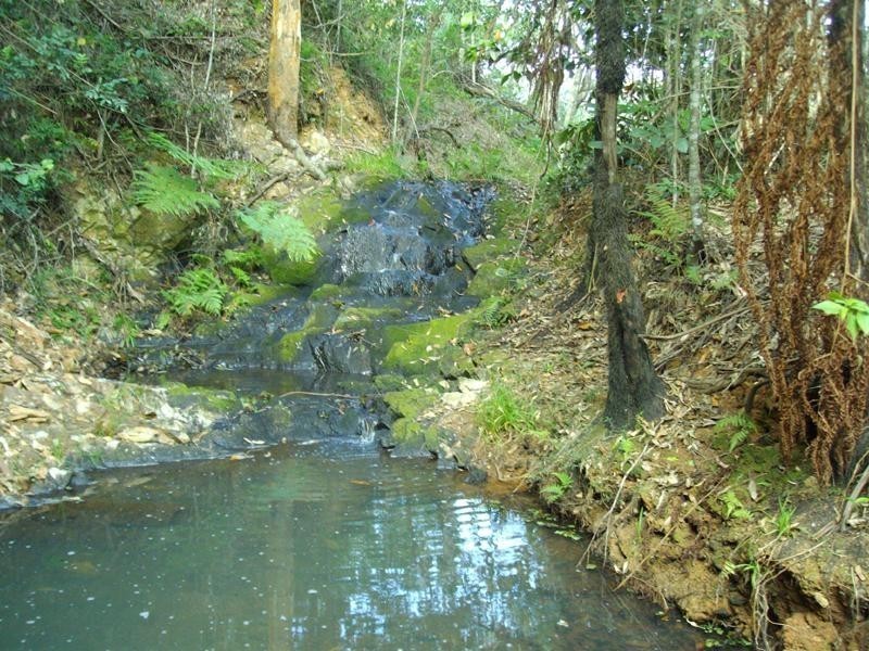 171 Wust Road, Cooroy QLD 4563