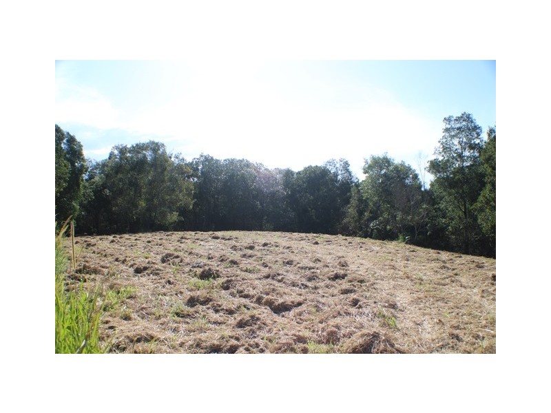 40 Uhlmanns Road, Black Mountain QLD 4563