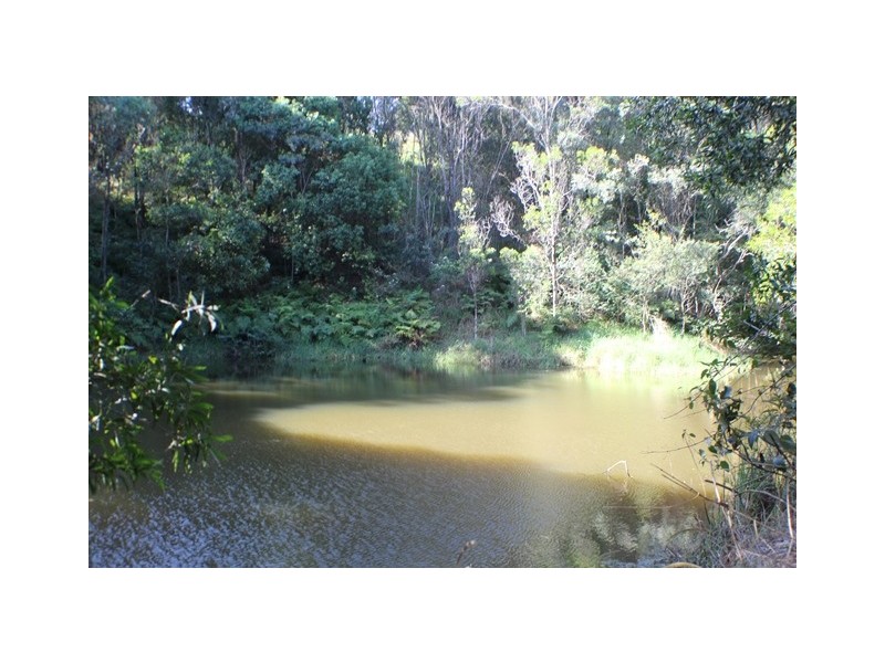 40 Uhlmanns Road, Black Mountain QLD 4563