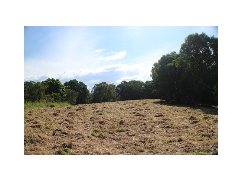 40 Uhlmanns Road, Black Mountain QLD 4563