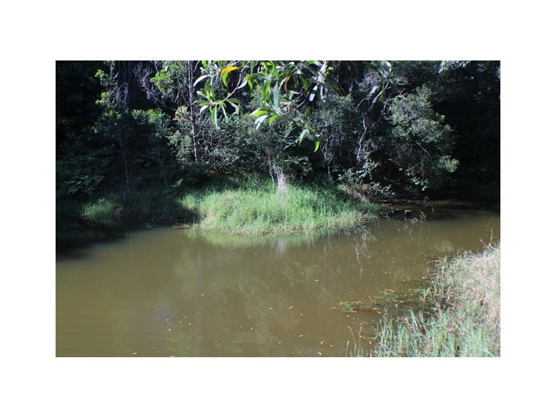 40 Uhlmanns Road, Black Mountain QLD 4563