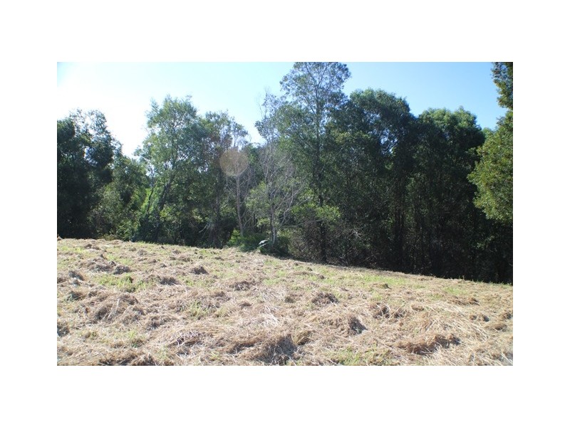 40 Uhlmanns Road, Black Mountain QLD 4563