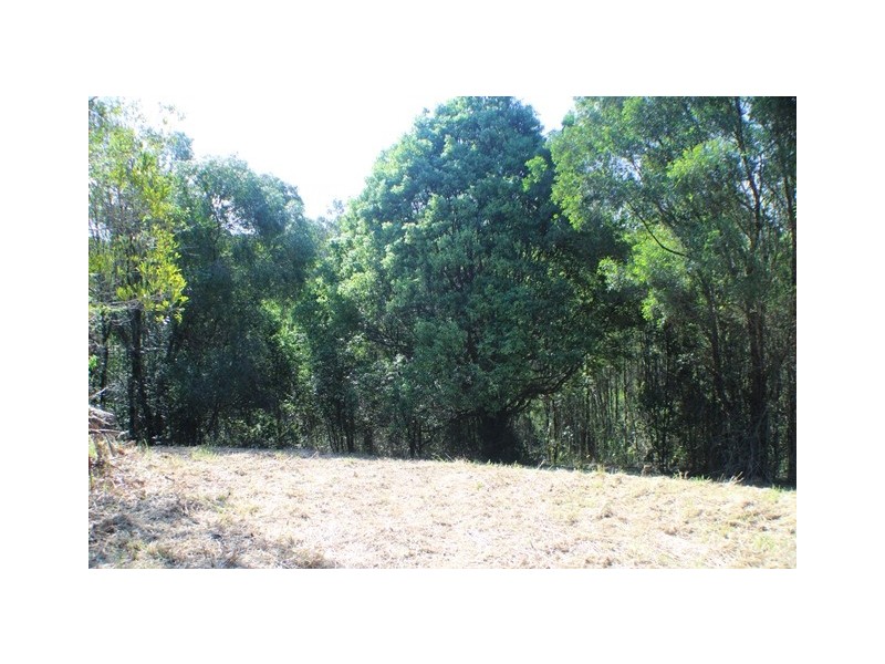 40 Uhlmanns Road, Black Mountain QLD 4563