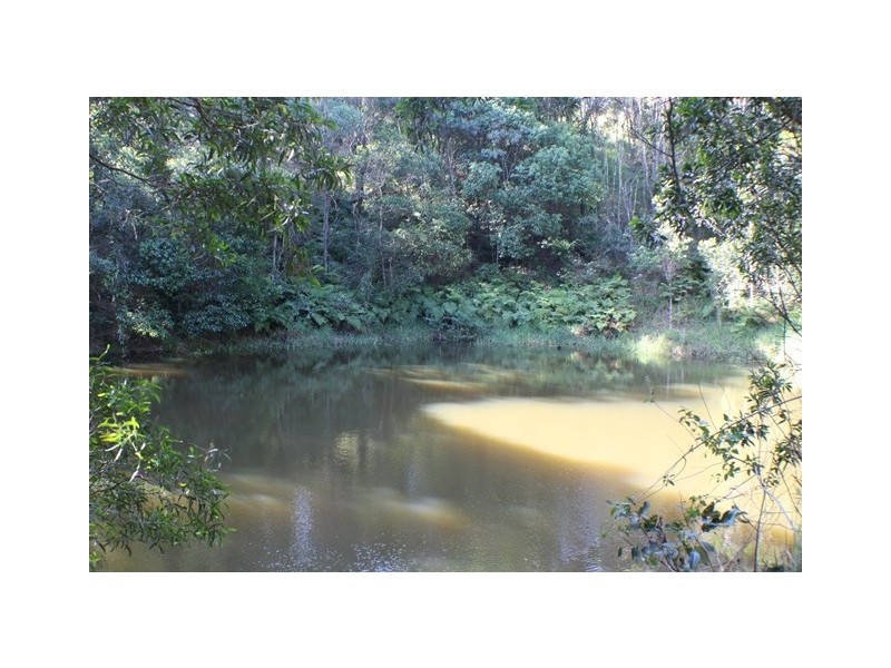 40 Uhlmanns Road, Black Mountain QLD 4563