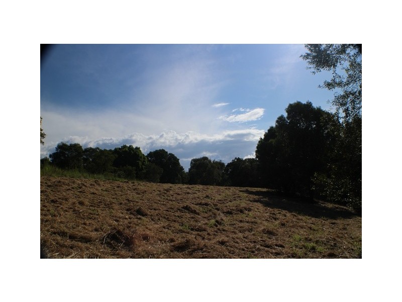 40 Uhlmanns Road, Black Mountain QLD 4563