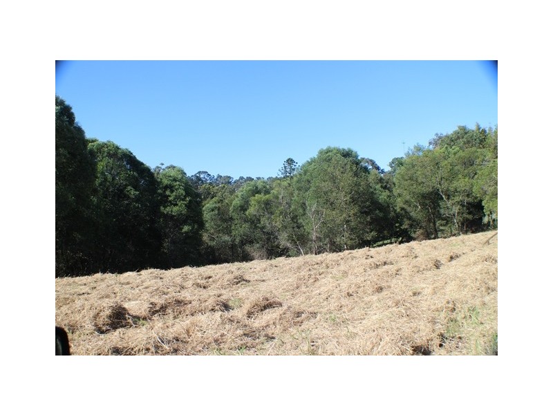 40 Uhlmanns Road, Black Mountain QLD 4563