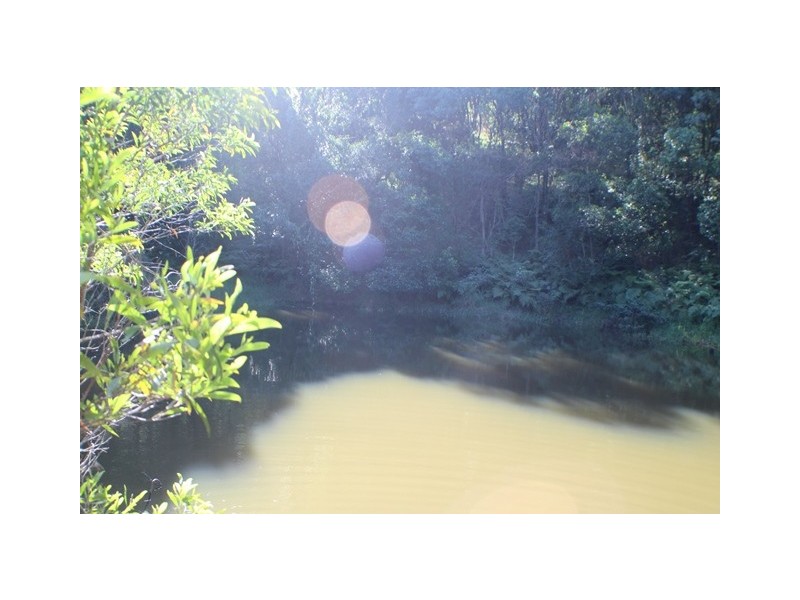 40 Uhlmanns Road, Black Mountain QLD 4563