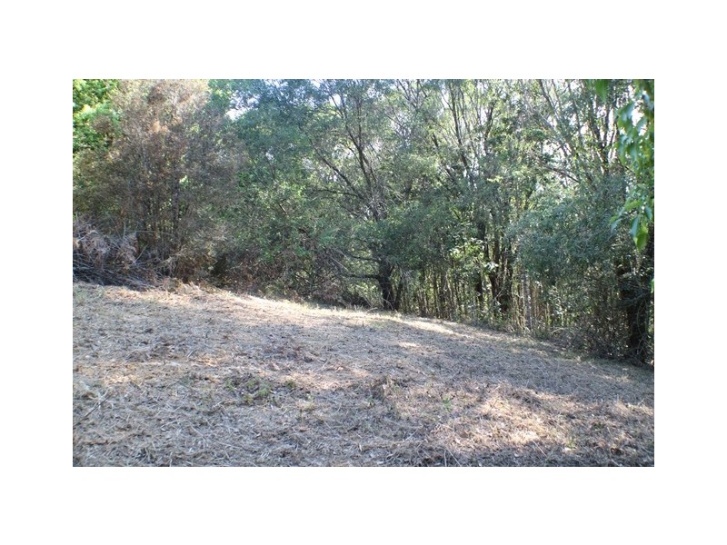 40 Uhlmanns Road, Black Mountain QLD 4563