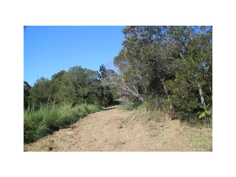 40 Uhlmanns Road, Black Mountain QLD 4563