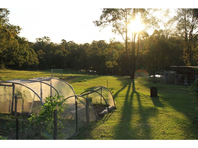 815 Kenilworth Skyring Creek Road, Carters Ridge QLD 4563