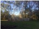 815 Kenilworth Skyring Creek Road, Carters Ridge QLD 4563