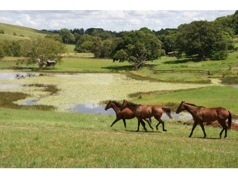 111 Lukes Rd, Cooroy Mountain QLD 4563