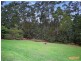 9 Friarbird Place, Pomona QLD 4568
