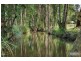 100 Pound Road, Pomona QLD 4568