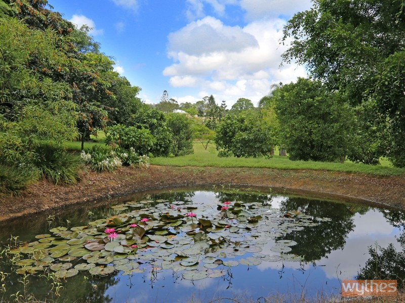 8 Southeden Court, Cooroy QLD 4563