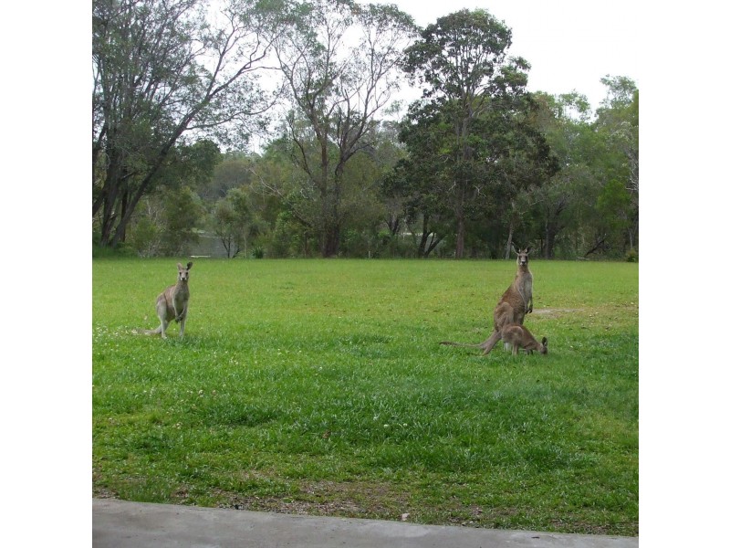 41 Grange Road, Lake Macdonald QLD 4563