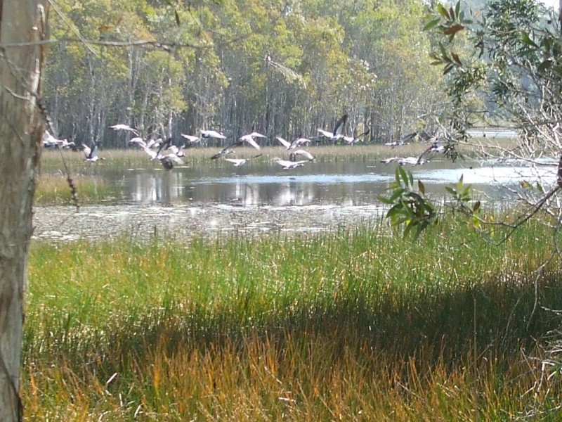 41 Grange Road, Lake Macdonald QLD 4563