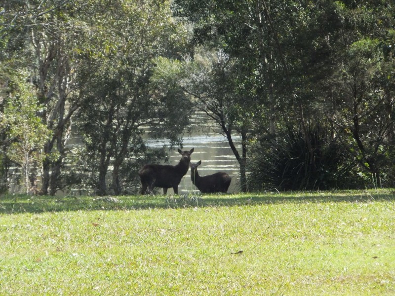 41 Grange Road, Lake Macdonald QLD 4563