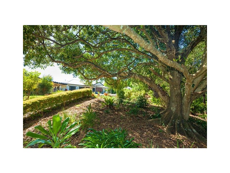 59 Foambark Place, Black Mountain QLD 4563