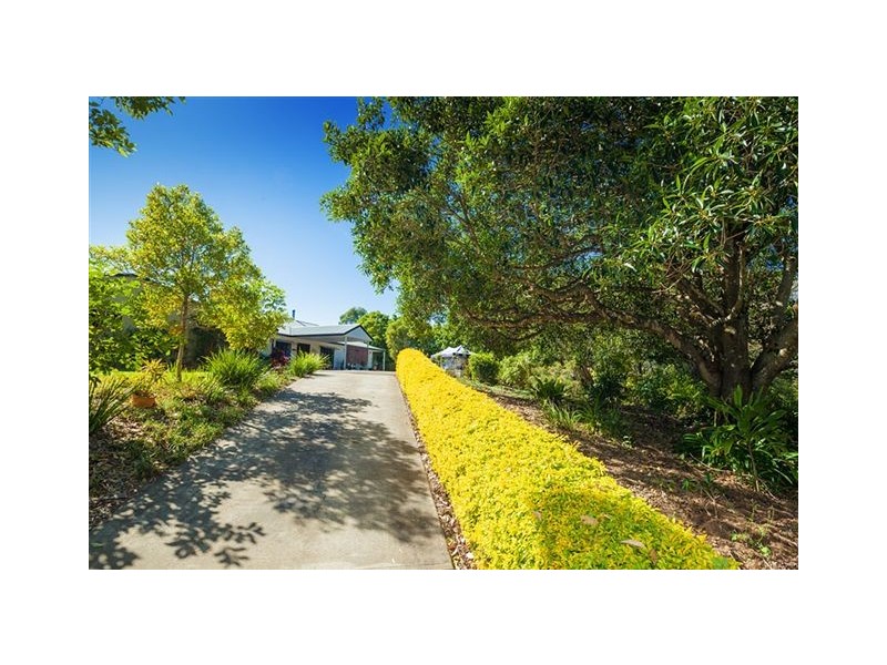 59 Foambark Place, Black Mountain QLD 4563