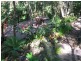 2 Pacific View Drive, Tinbeerwah QLD 4563