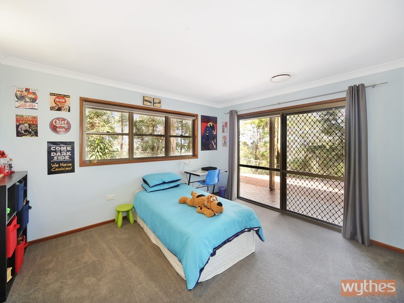 659 Black Mountain Road, Black Mountain QLD 4563