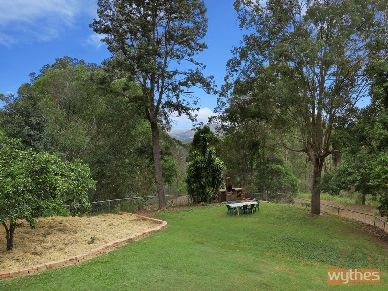 659 Black Mountain Road, Black Mountain QLD 4563