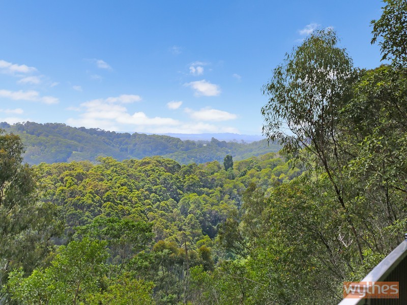 659 Black Mountain Road, Black Mountain QLD 4563