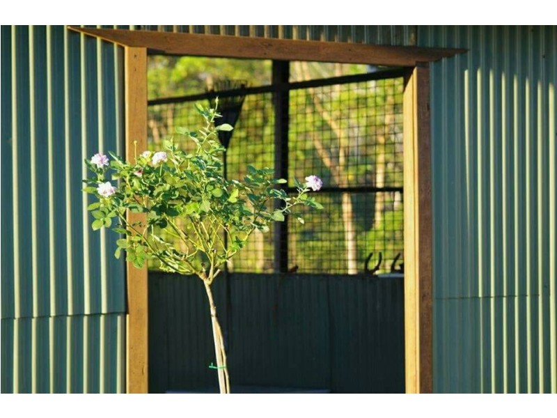 10 Drovers Court, Pomona QLD 4568