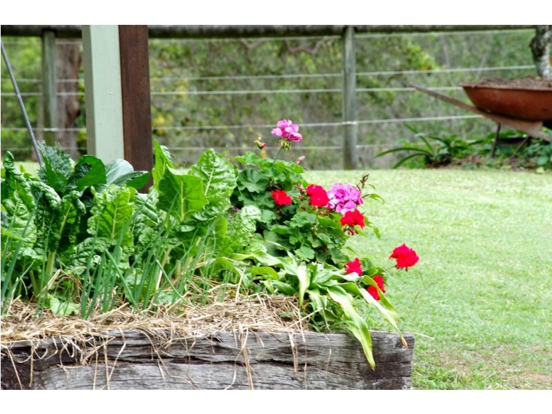10 Drovers Court, Pomona QLD 4568