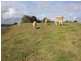 lot 7, 65-87 Booyong Drive, Black Mountain QLD 4563