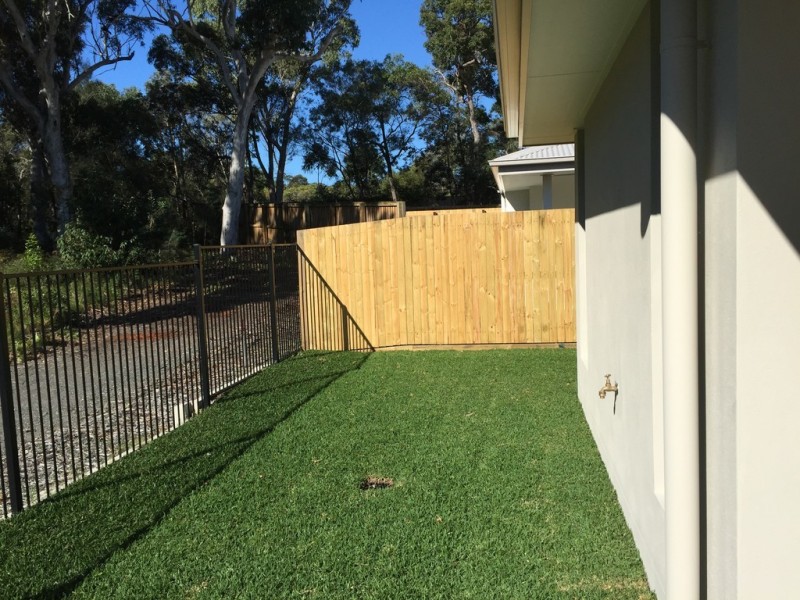 53 Brushbox Way, Peregian Springs QLD 4573