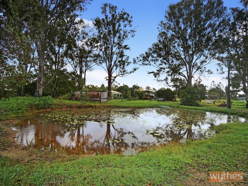 67 Garnet Street, Cooroy QLD 4563