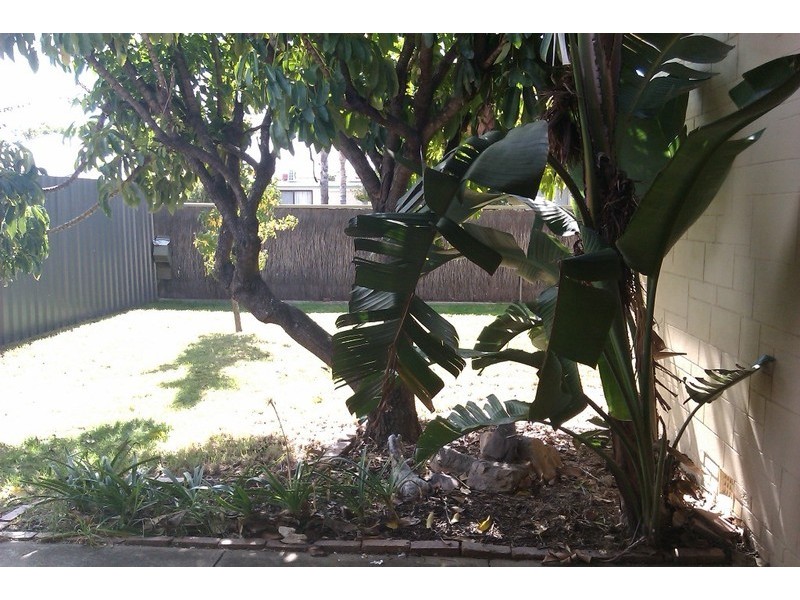 16 Meredith Avenue, Glengowrie SA 5044