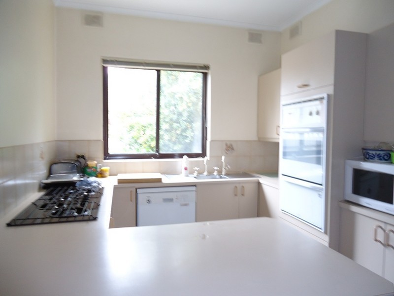 16 Meredith Avenue, Glengowrie SA 5044